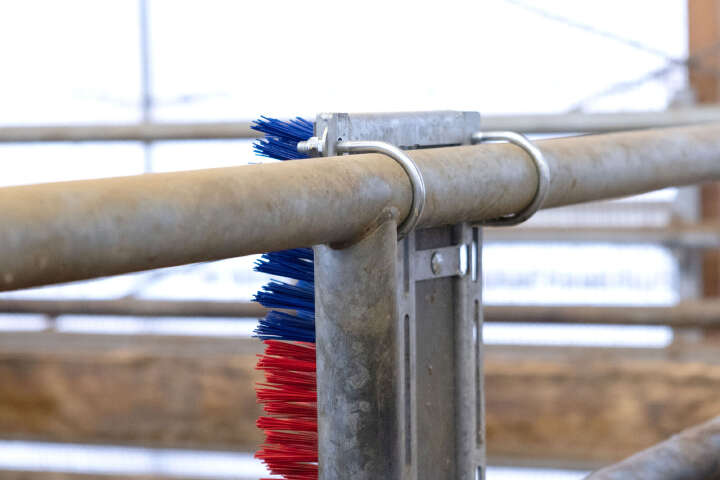 HAPPYCOW Kratzbürste Bully